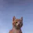 Reviewer avatar