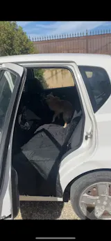 1PC Dog Seat Cover for Back Seat – Waterproof with Mesh Window, Scratch-Resistant Anti-Slip Car Hammock