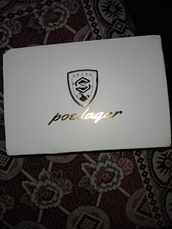 POEDAGAR 936 Men's Stainless Steel Original Quartz Watch with Date & Week