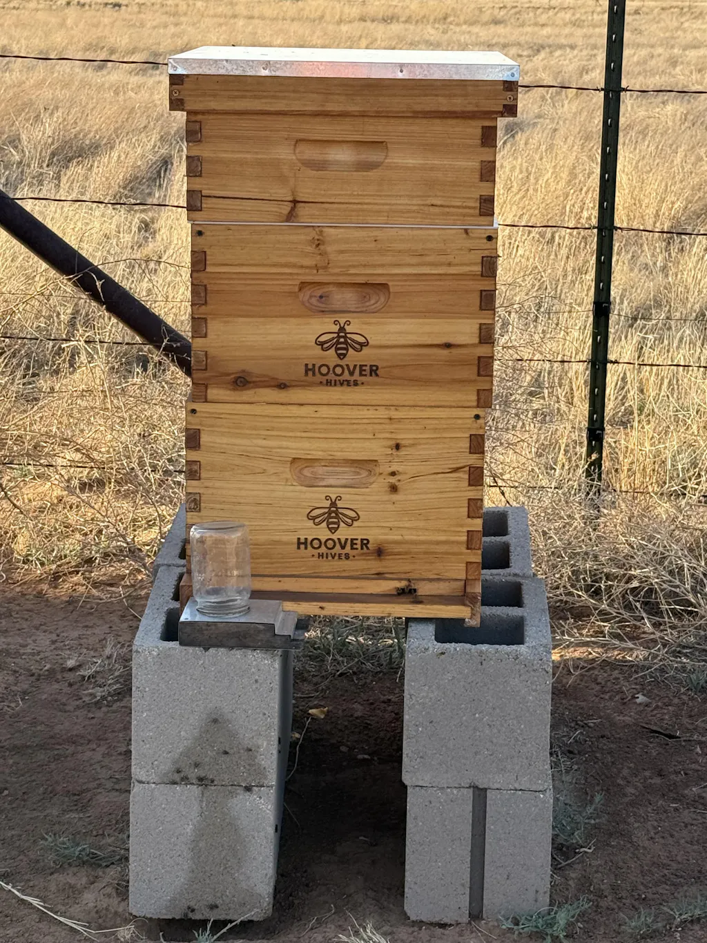 Hoover Hives Deep Brood Box Kit – 8 or 10 Frame with Wax-Coated