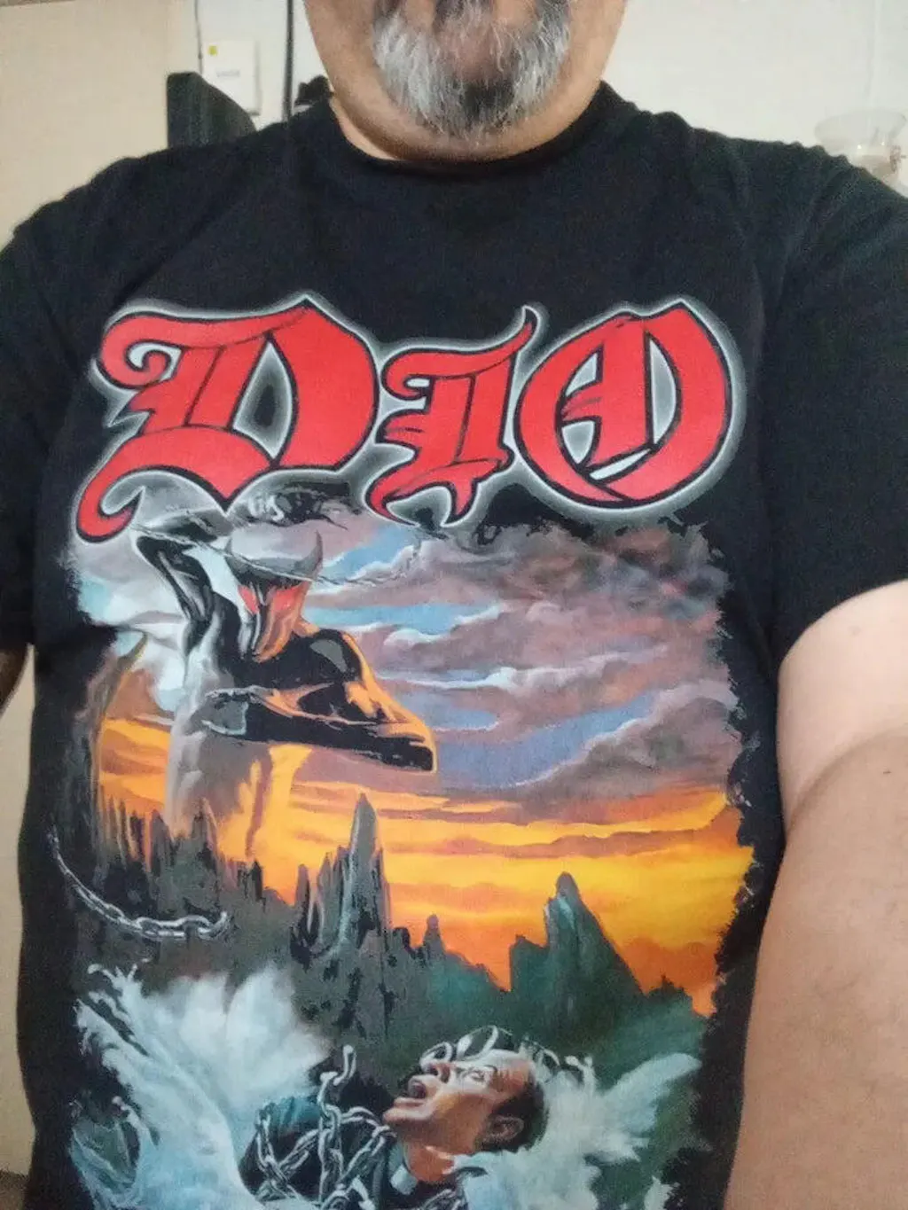 Playera Camiseta Dio Holy Diver