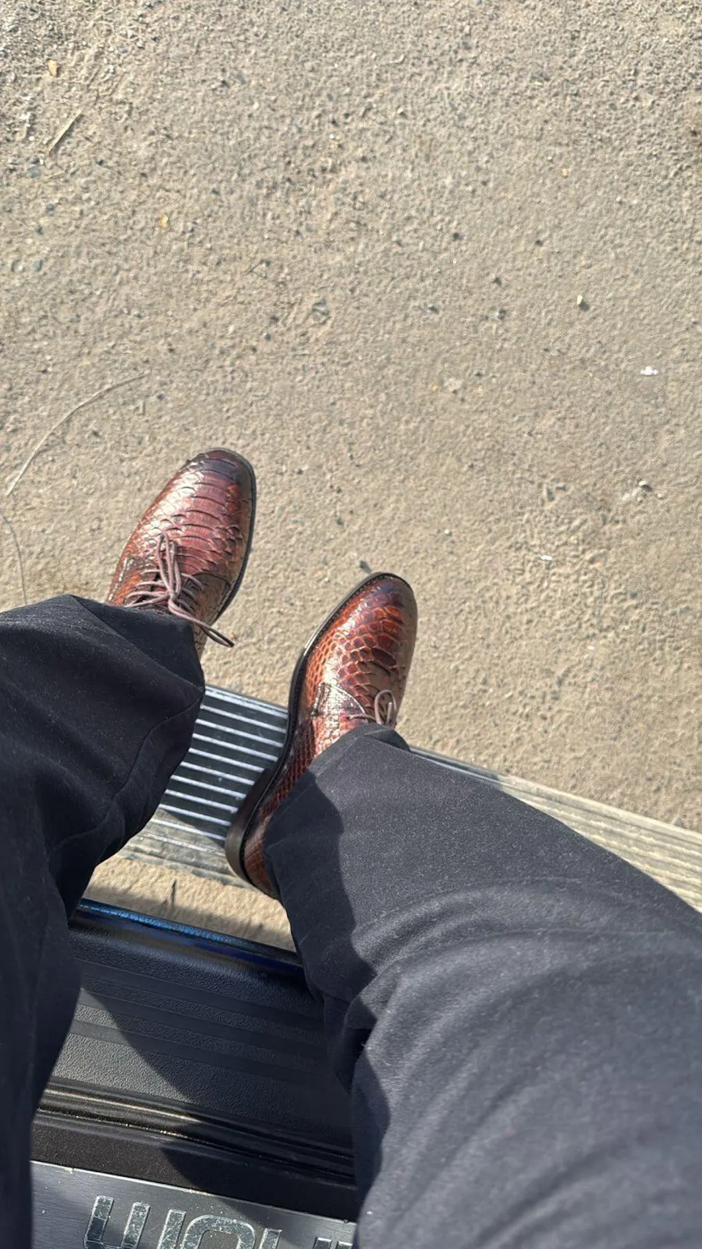 DARK BROWN PYTHON ANTONI