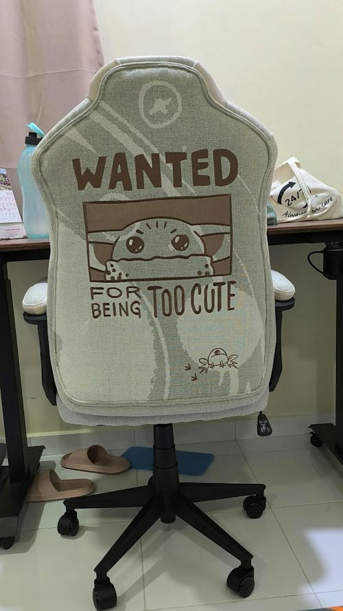 TTRacing Duo V4 Gaming Chair - Grogu Edition