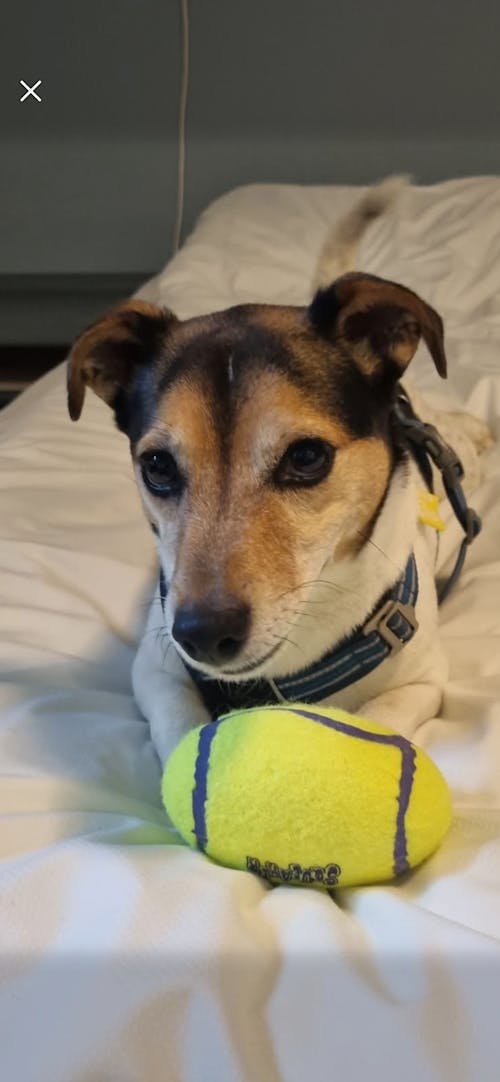 Personlig - Julekugle med dit billede, tekst