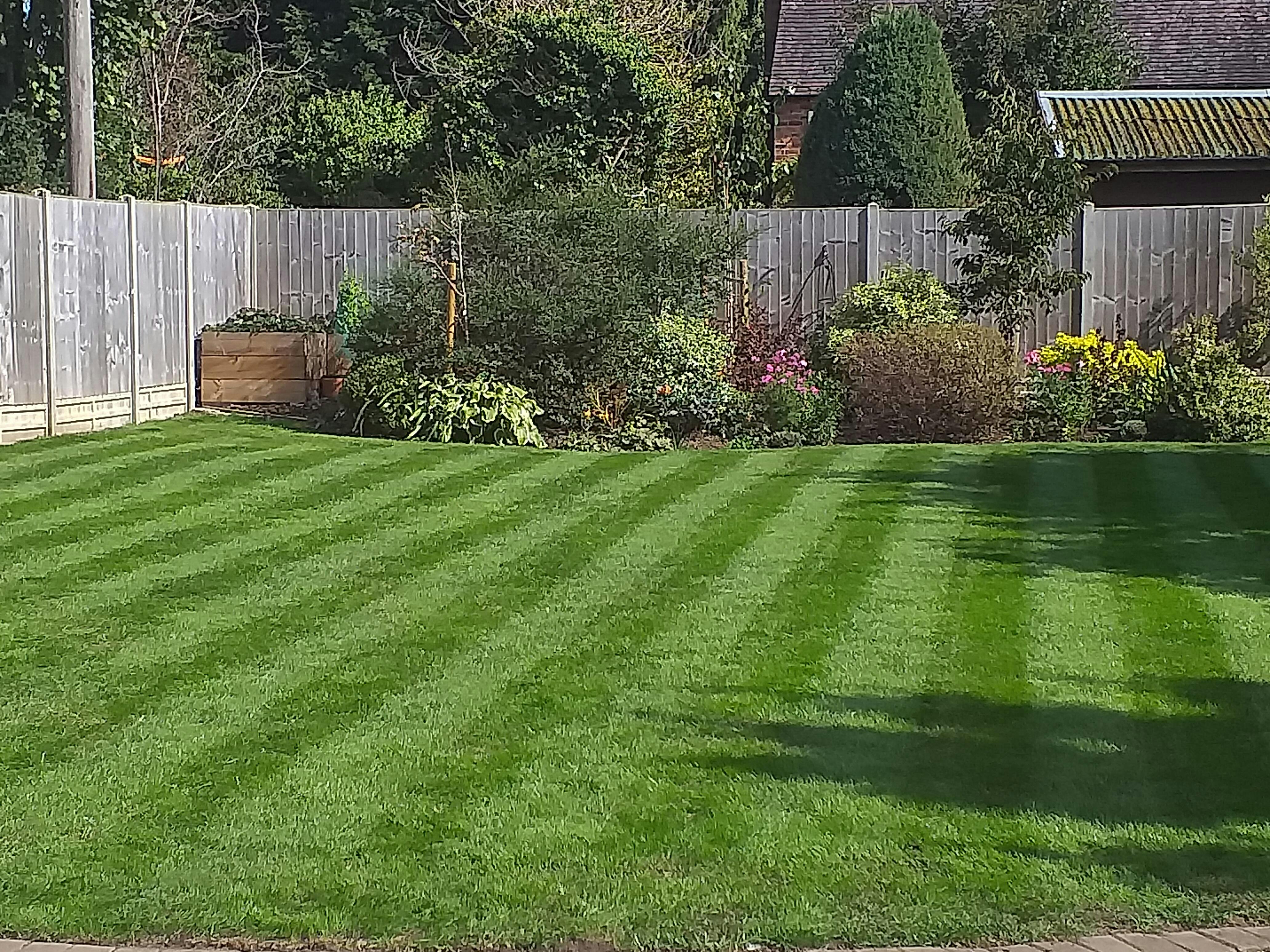 American Dark Green Grass Seed Garden Lawncare Guy