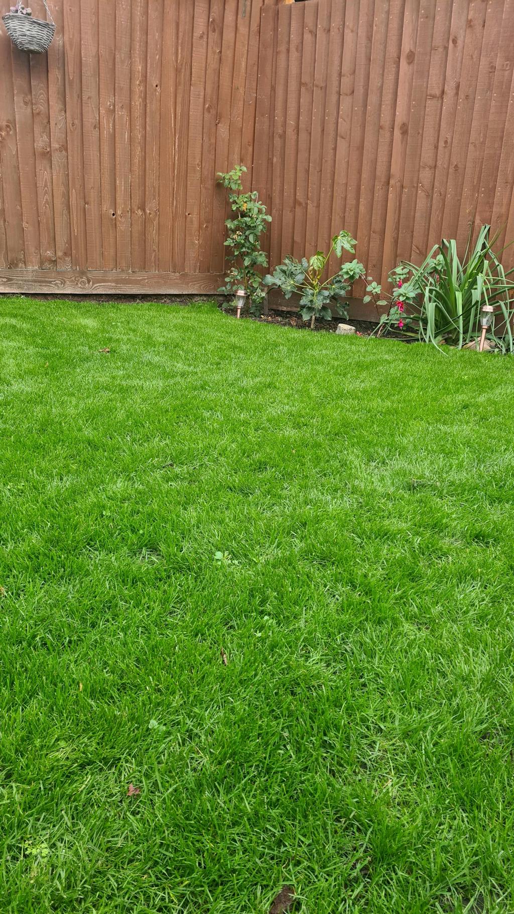 Shade & Sun Grass Seed Garden Lawncare Guy