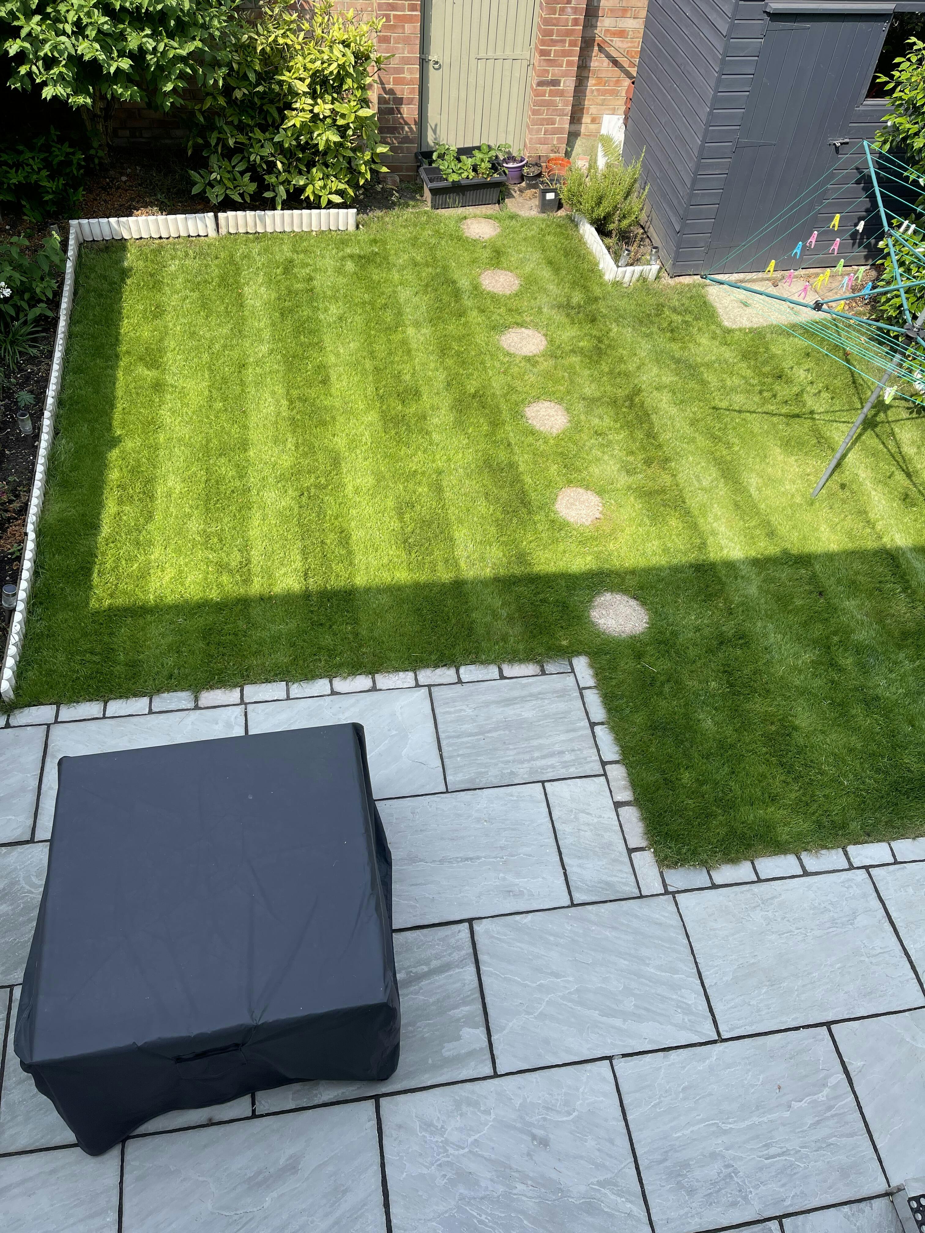 American Dark Green Grass Seed Garden Lawncare Guy