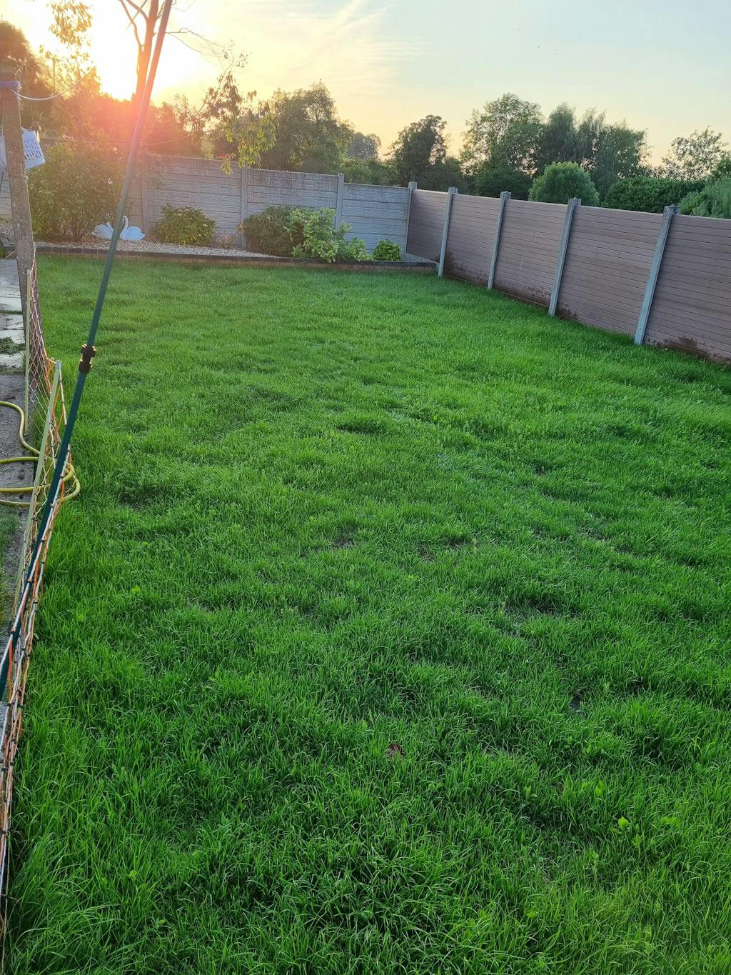 Premium Hard Wearing Grass Seed Garden Lawncare Guy Lawncare Made Easy