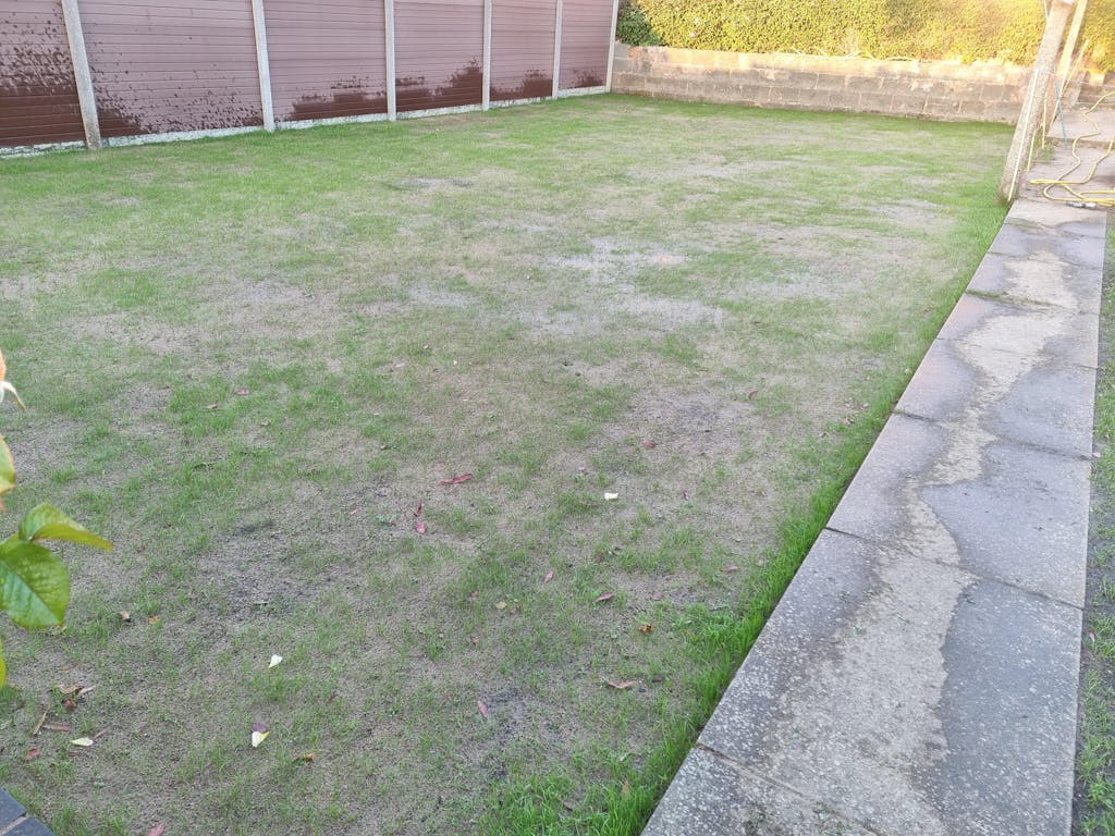 Premium Hard Wearing Grass Seed Garden Lawncare Guy Lawncare Made Easy