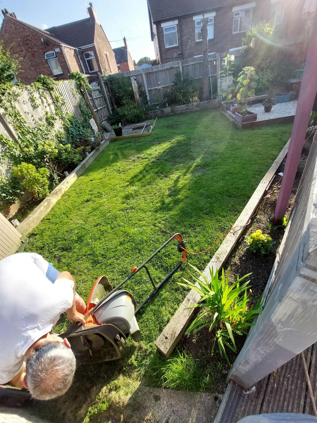 Premium Hard Wearing Grass Seed Garden Lawncare Guy Lawncare Made Easy