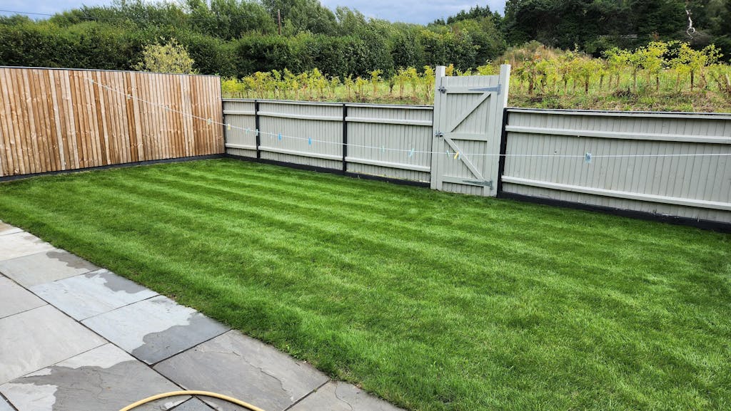 American Dark Green Grass Seed Garden Lawncare Guy