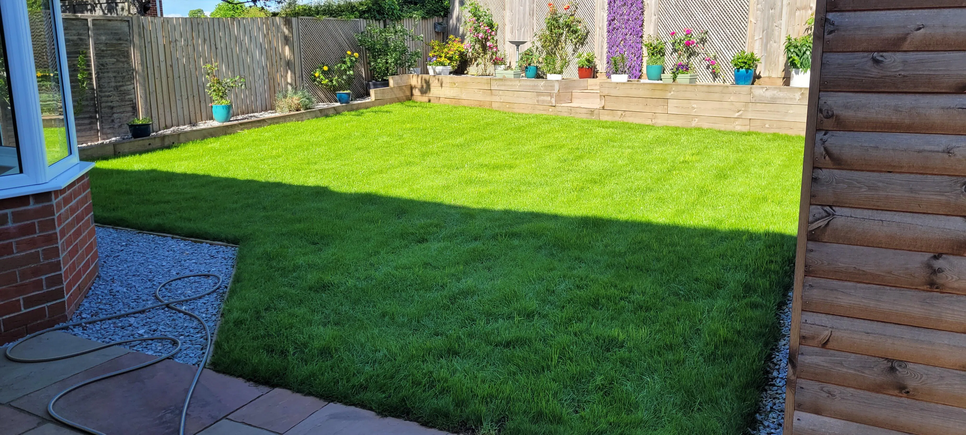 Best seed for shade grass