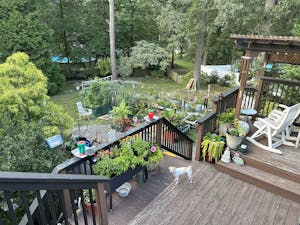 New Year Seed System