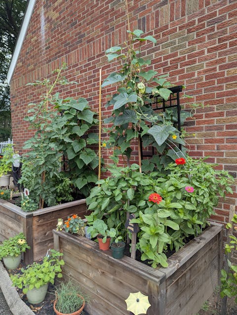 Gardenary Cedar Raised Garden Beds with Trim