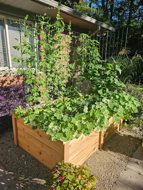 Gardenary Cedar Raised Garden Beds with Trim