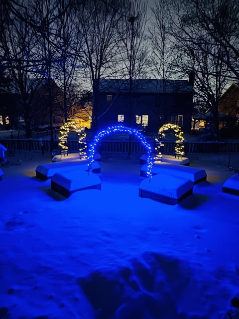 Gardenary Cedar Raised Garden Beds with Trim