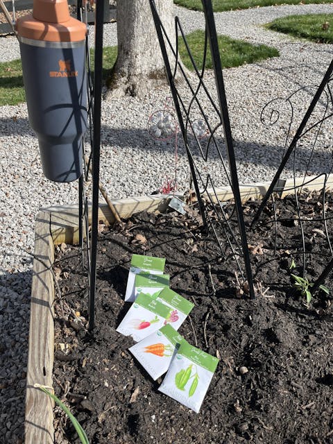 10 Essential Garden Seeds - Free with Shipping