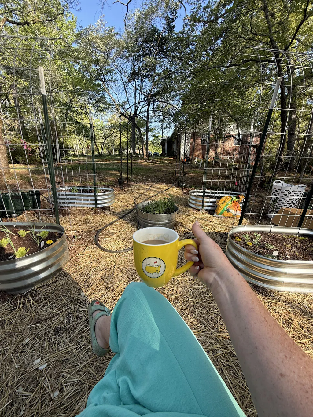 10 Essential Garden Seeds - Free with Shipping (Samcart)