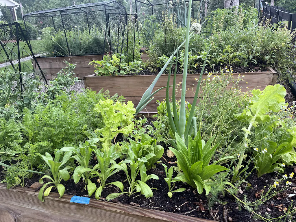 Seed Starting Course