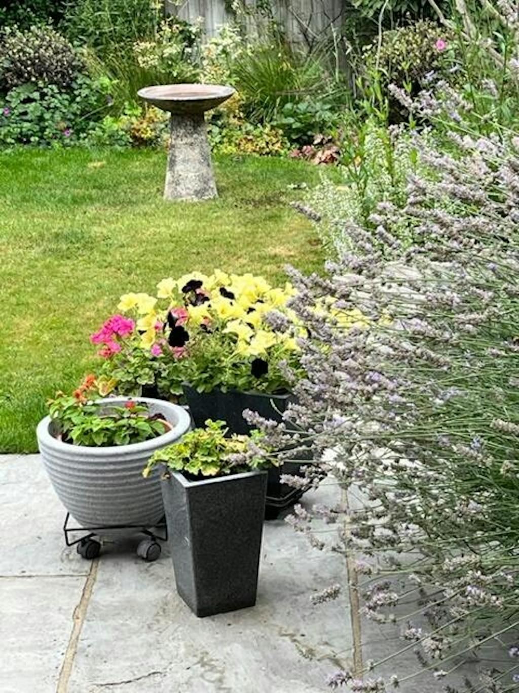 Garden Stone Bird Bath Salt Glaze Gardenesque