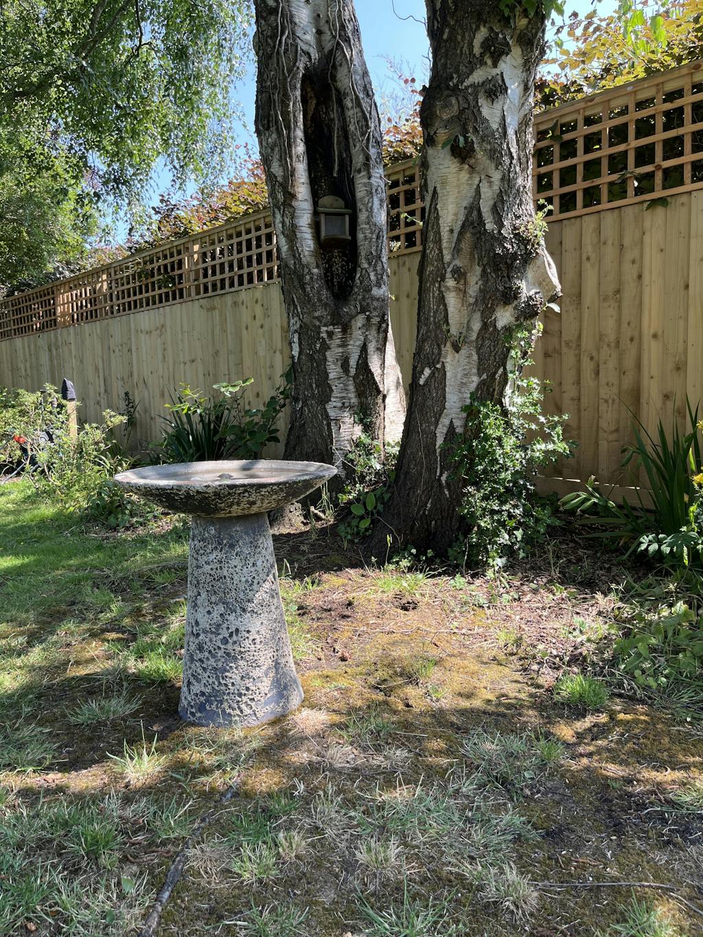 Garden Stone Bird Bath Salt Glaze Gardenesque