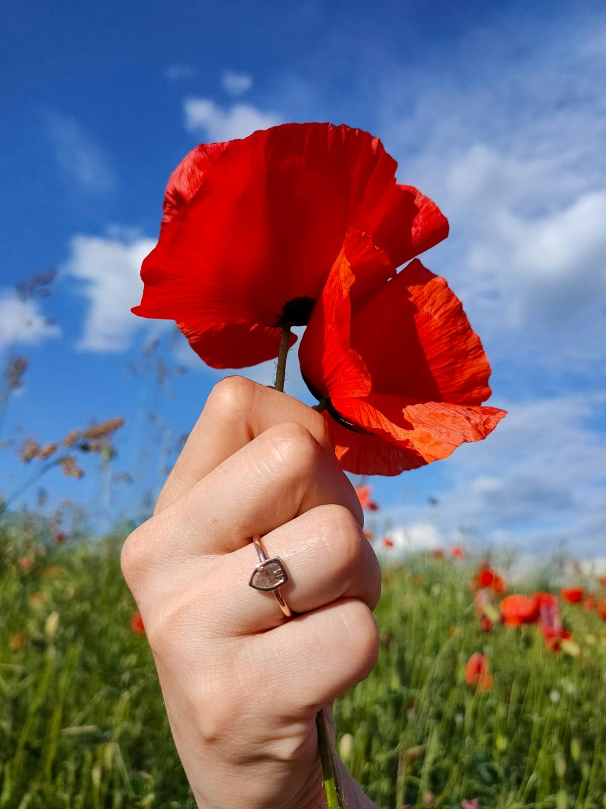 custom-kite-diamond-ring-gardens-of-the-sun-ethical-jewelry