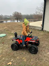 User picture