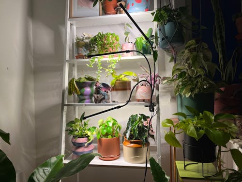 Clip-on Full Spectrum LED Grow Light