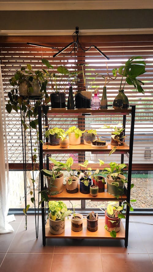 Clip-on Full Spectrum LED Grow Light