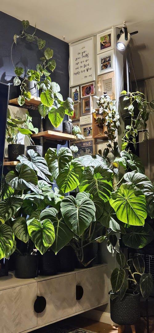 Sun Bulb | Full spectrum LED grow light with adjustable lens and tilt