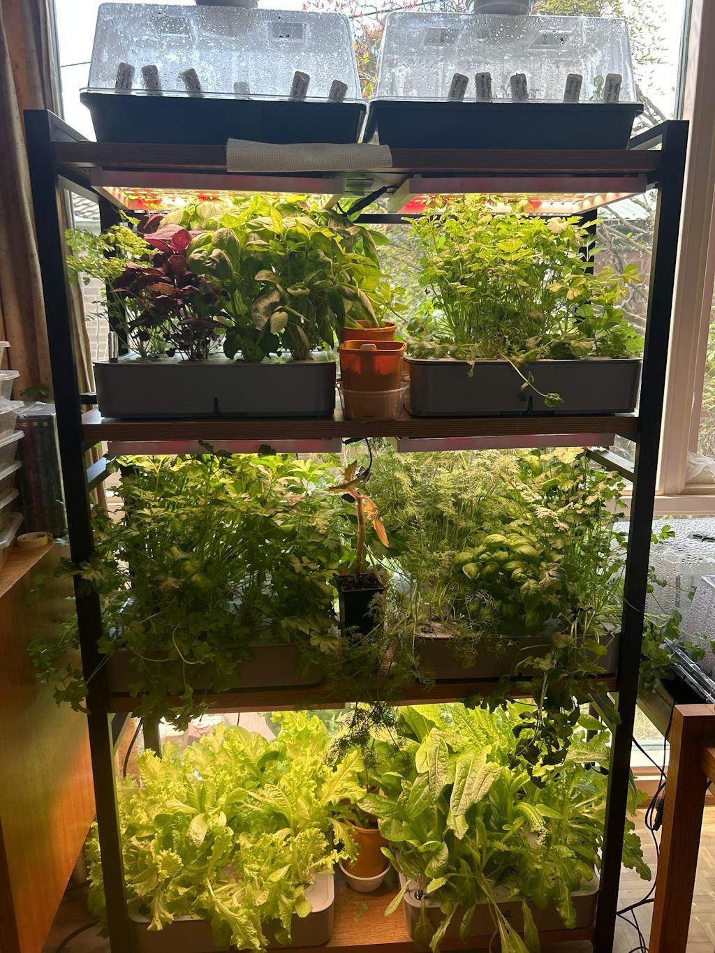 sun-shelf-grow-shelf-indoor-garden-gathera-gathera