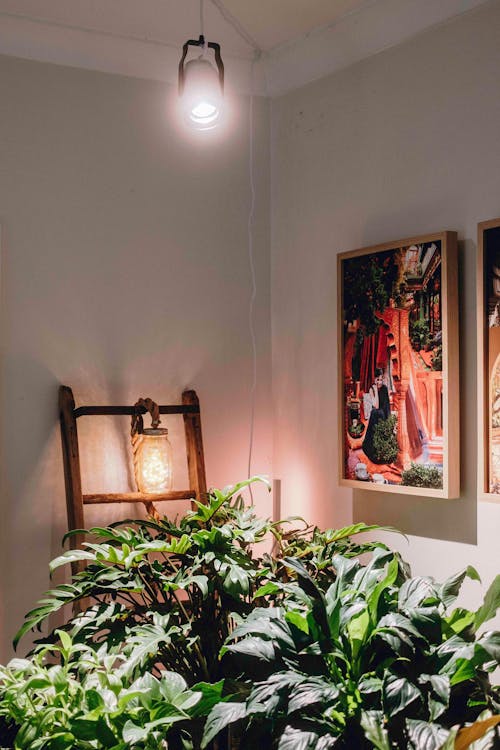 Sun Bulb | Full spectrum LED grow light with adjustable lens and tilt