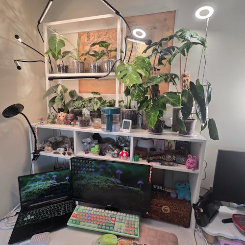 Clip-on Full Spectrum LED Grow Light