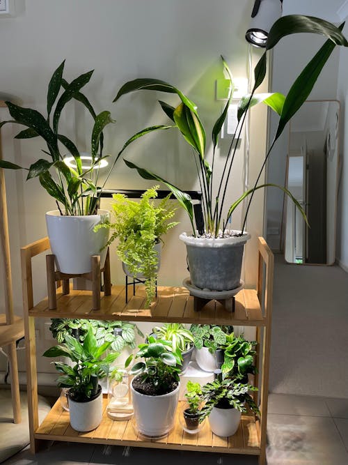 Sun Shelf 3 | Plant shelf with built-in full spectrum LED grow lights