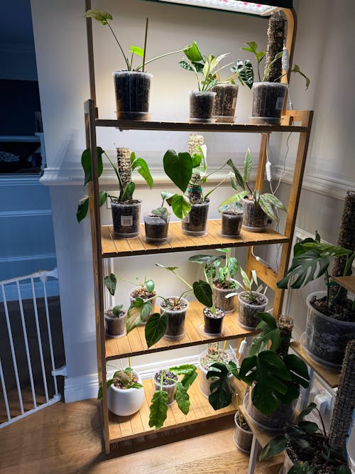 Sun Shelf 3 | Plant shelf with built-in full spectrum LED grow lights