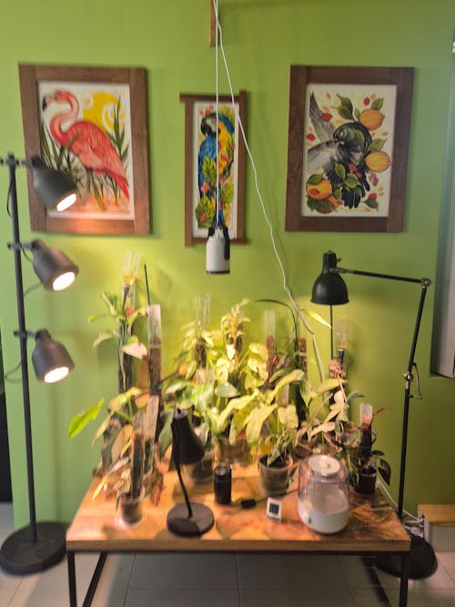 Sun Bulb | Full spectrum LED grow light with adjustable lens and tilt