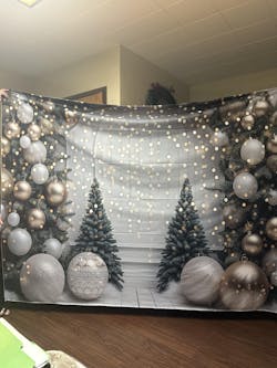 Sweet Twinkle Arch Photography Backdrop GBSX-99937