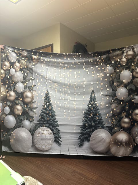 Sweet Twinkle Arch Photography Backdrop GBSX-99937