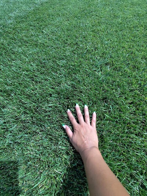 Distribuitor electric Easy Drop – 2.7 L pentru semințe și îngrășăminte