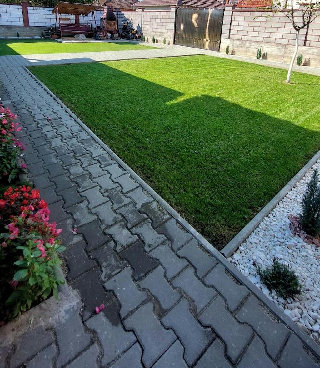 Semințe Gazon Carpați, cu frunză subțire, pentru zone cu umbră