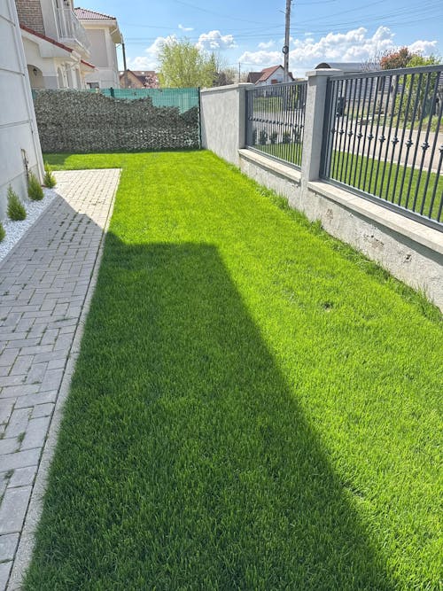 Îngrășământ gazon Starter pentru însămânțare, supraînsămânțare și reabilitare