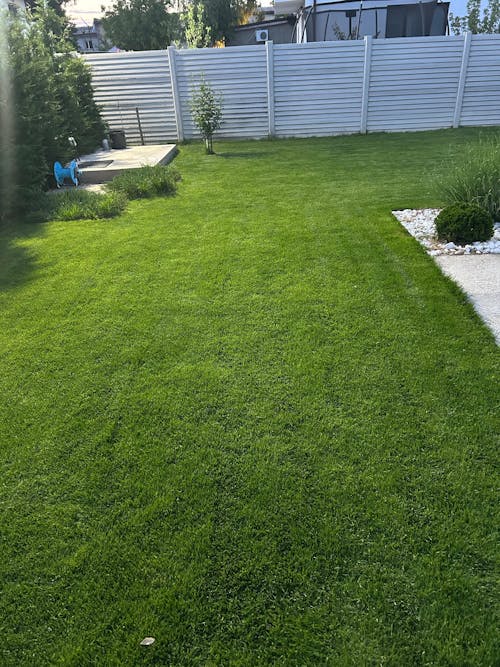 Îngrășământ gazon Starter pentru însămânțare, supraînsămânțare și reabilitare