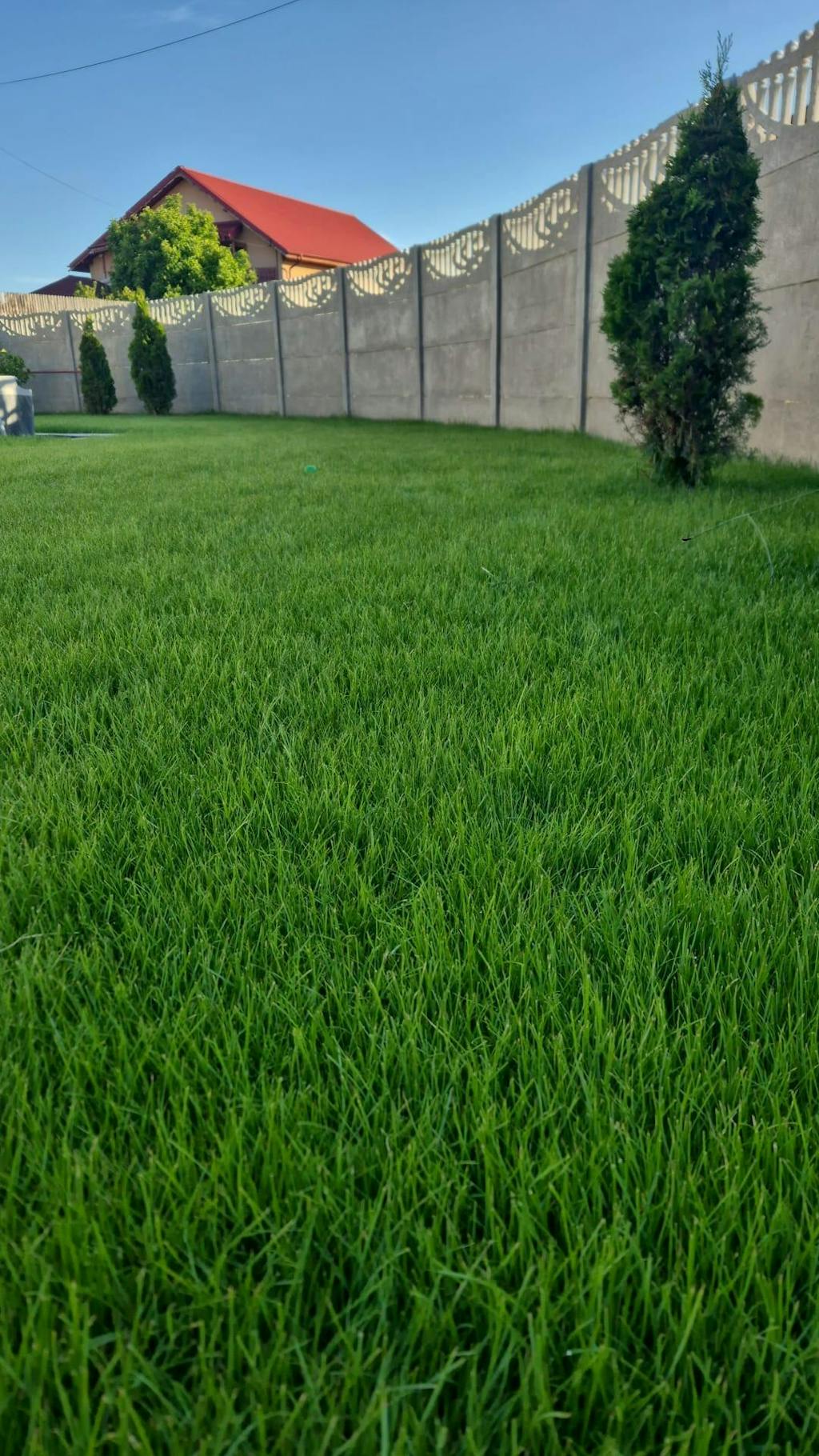 Îngrășământ Gazon Revitalizant pentru înverzire rapidă și regenerare all season