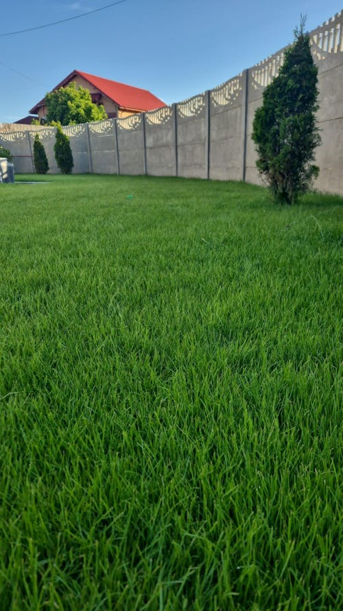 Îngrășământ Gazon Revitalizant pentru înverzire rapidă și regenerare all season