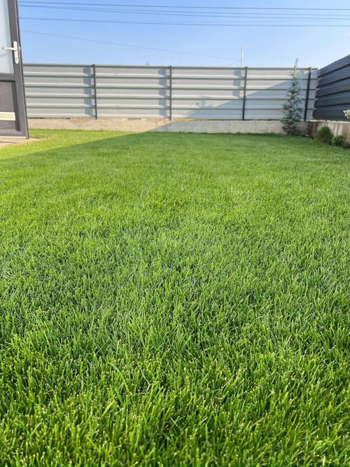 Îngrășământ Gazon Revitalizant pentru înverzire rapidă și regenerare all season