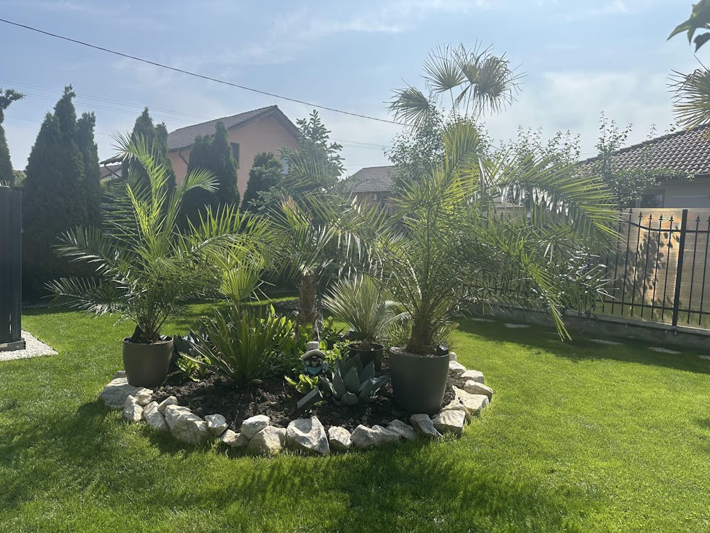 Îngrășământ Organic BioHumus, cu humus de râmă, pentru gazon, legume și flori