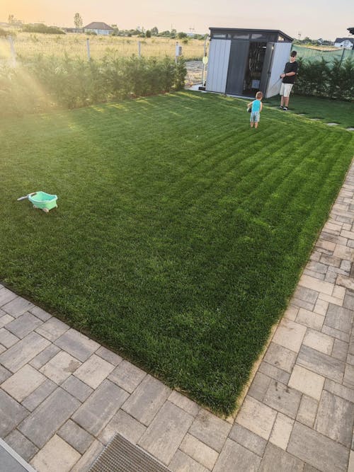 Pachet fertilizare Vară (Iunie-August)