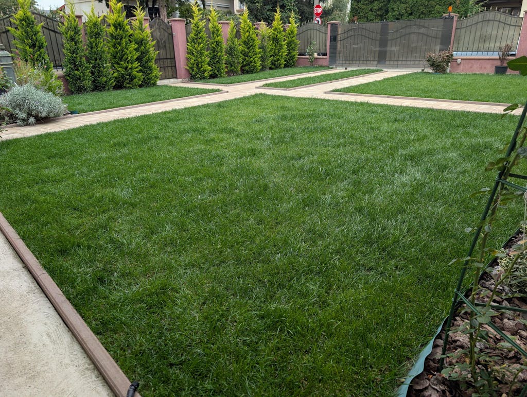 Îngrășământ Gazon Revitalizant pentru înverzire rapidă și regenerare all season