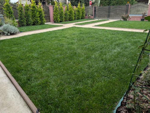 Îngrășământ Gazon Revitalizant pentru înverzire rapidă și regenerare all season