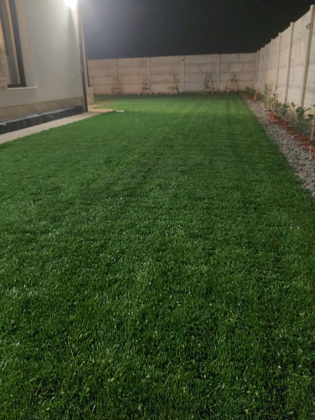 Semințe de Microtrifoi pentru utilizare individuală sau în combinație cu gazon